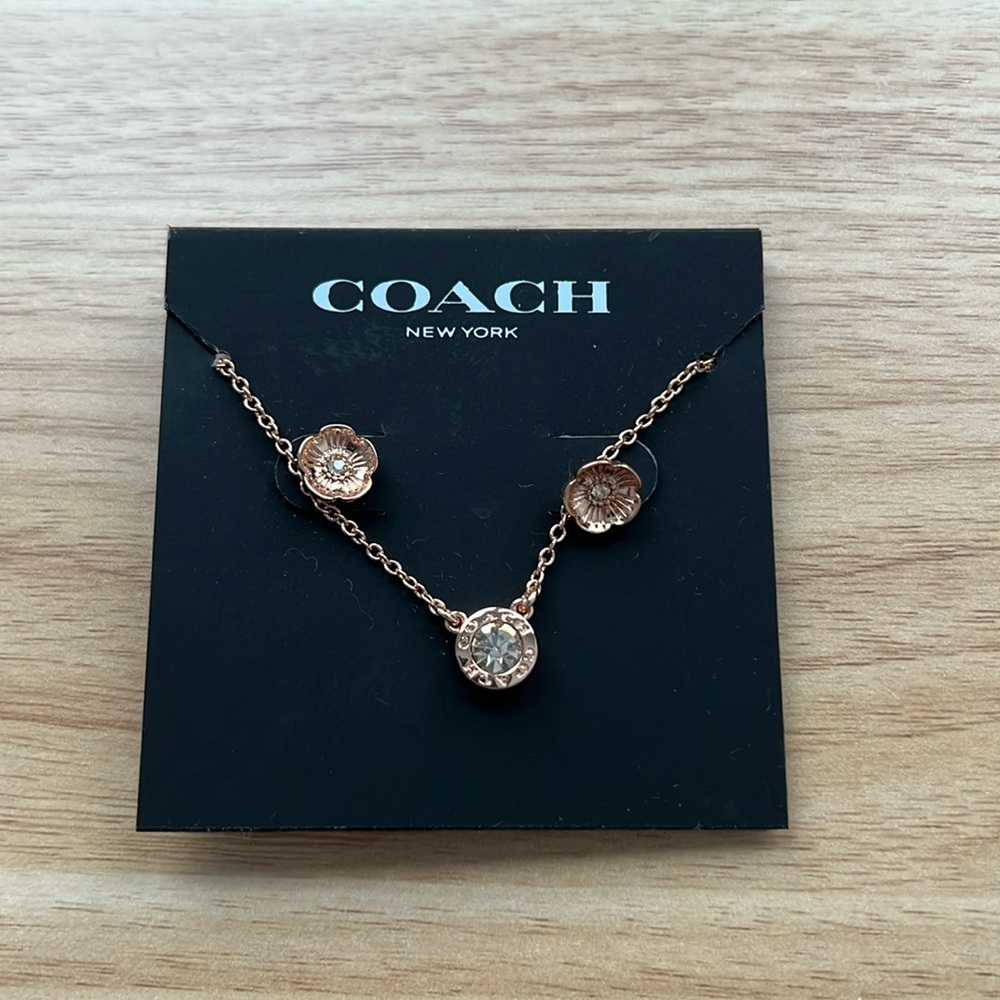 Coach Rose Gold Necklace & Earrings Set